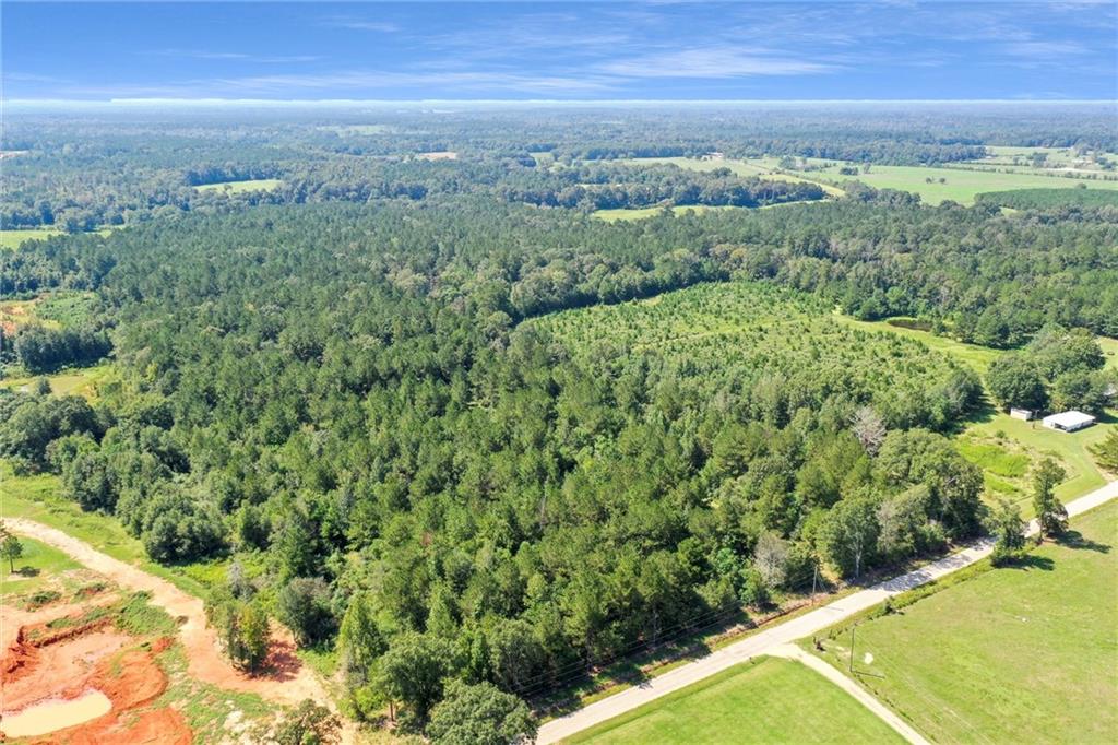 48.43 Acres Peterson Road, Mount Hermon, Louisiana image 1