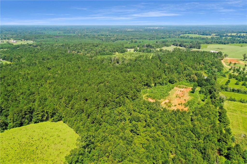 48.43 Acres Peterson Road, Mount Hermon, Louisiana image 13