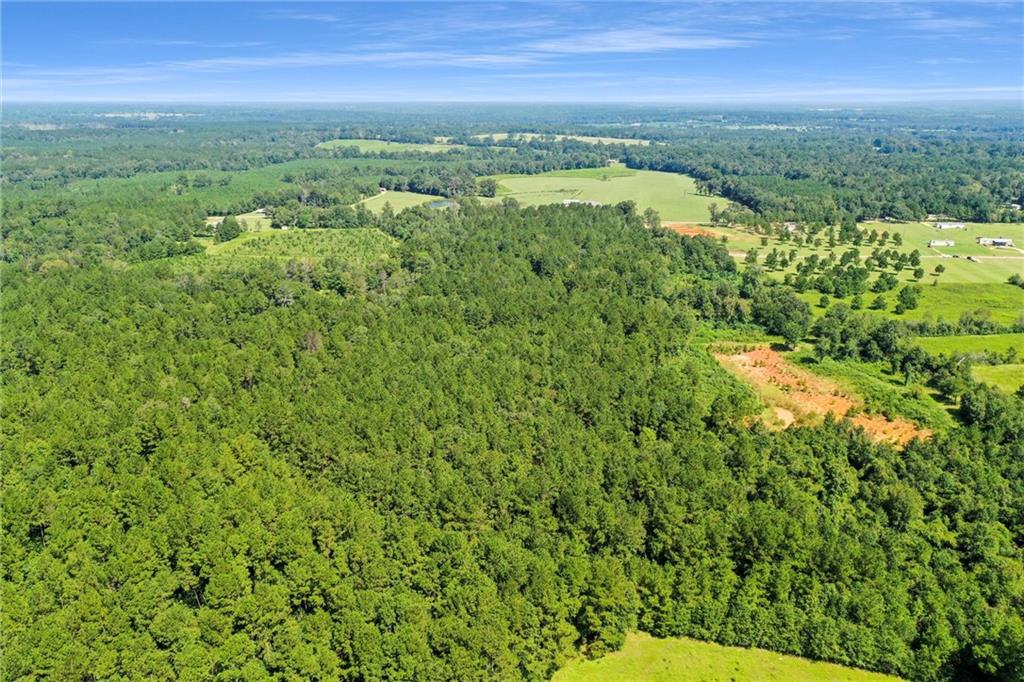 48.43 Acres Peterson Road, Mount Hermon, Louisiana image 15