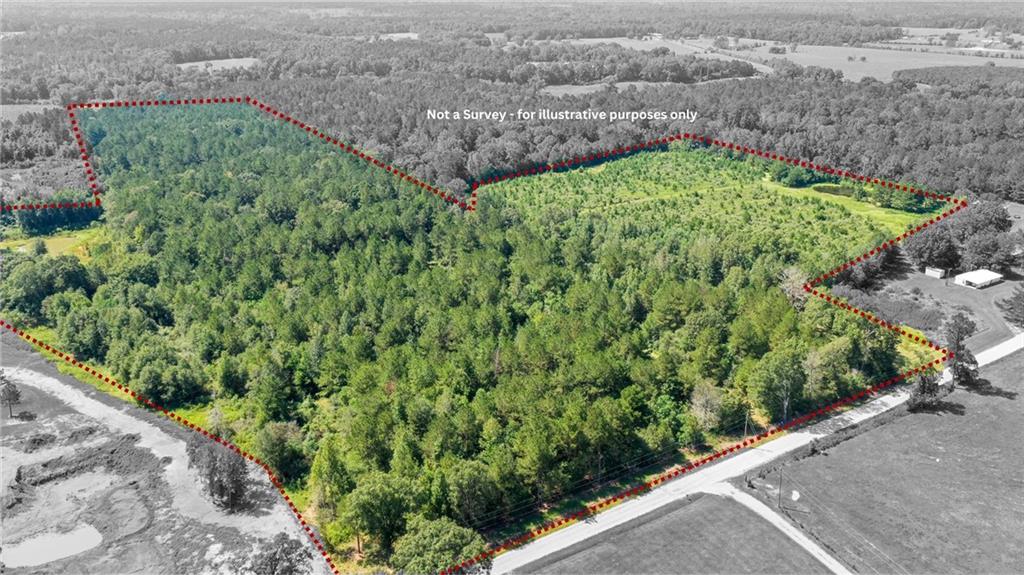 48.43 Acres Peterson Road, Mount Hermon, Louisiana image 2