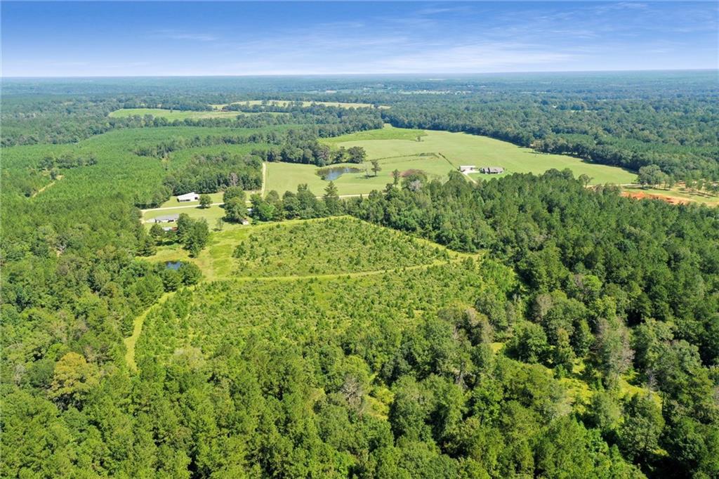 48.43 Acres Peterson Road, Mount Hermon, Louisiana image 3