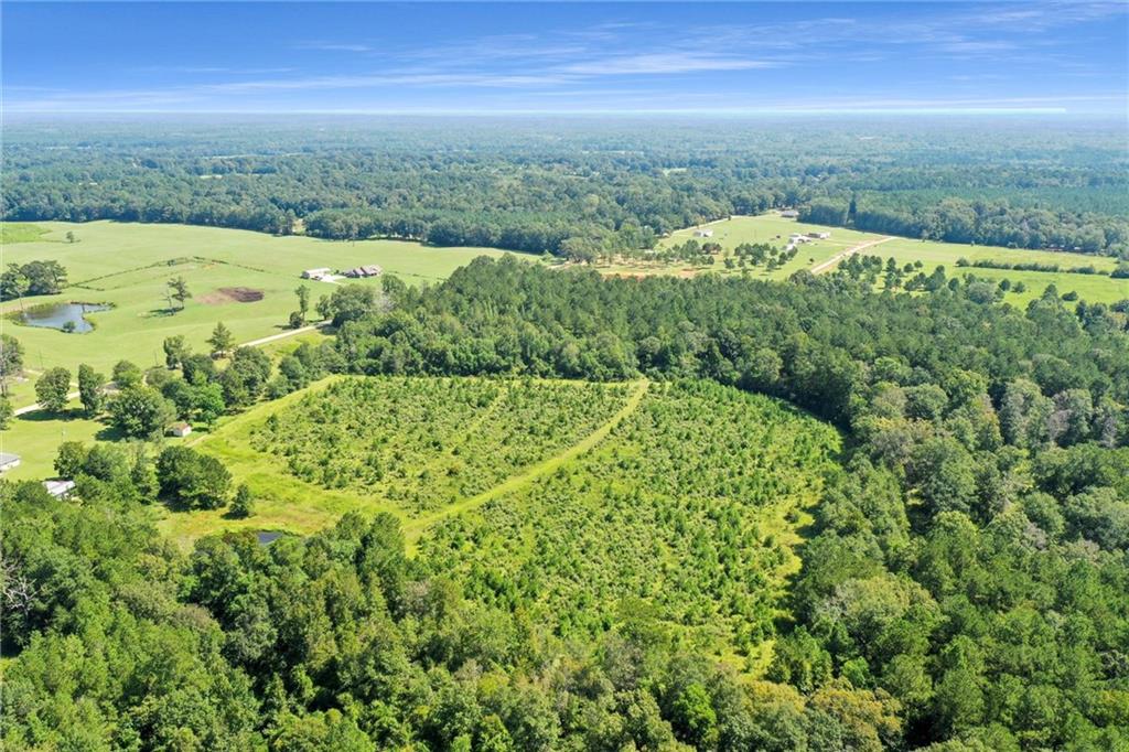 48.43 Acres Peterson Road, Mount Hermon, Louisiana image 4