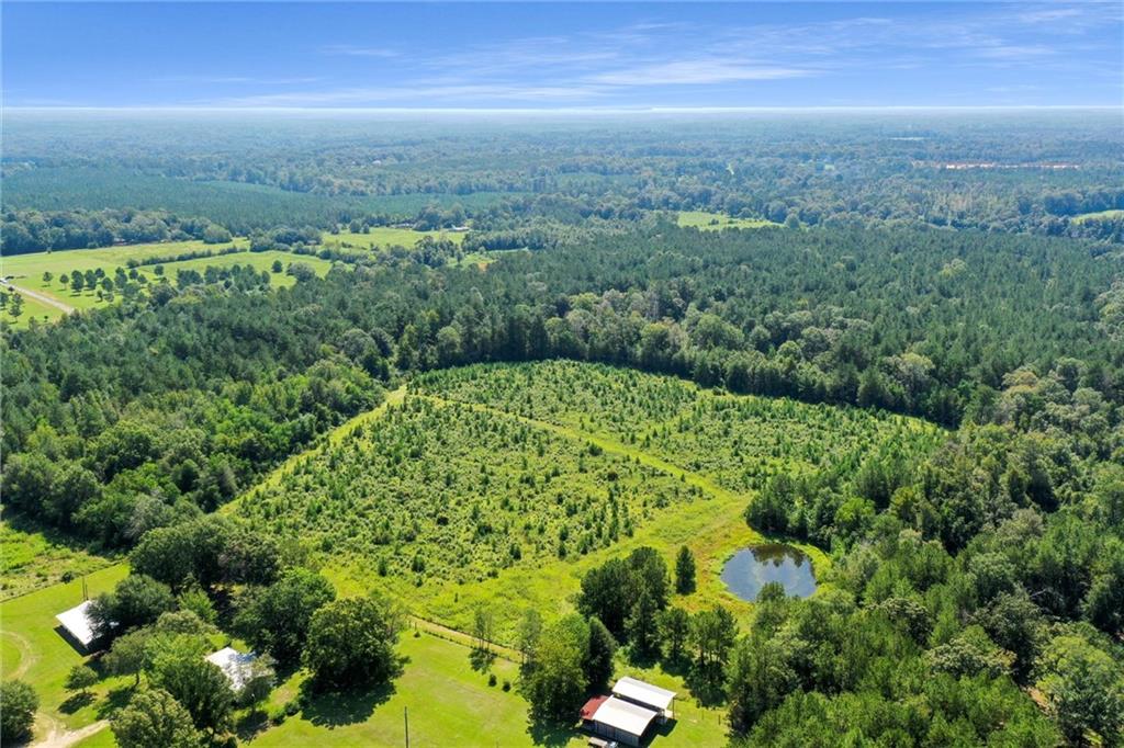 48.43 Acres Peterson Road, Mount Hermon, Louisiana image 5