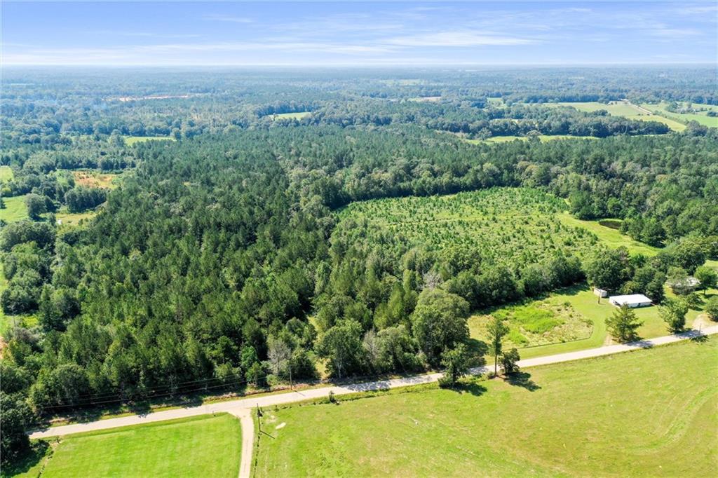 48.43 Acres Peterson Road, Mount Hermon, Louisiana image 6