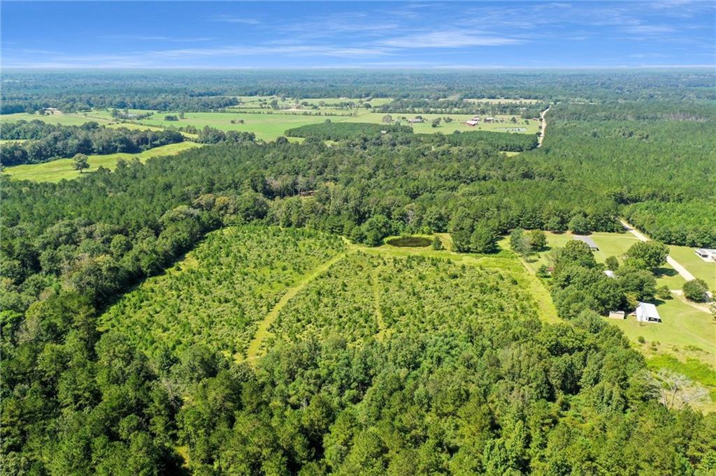 48.43 Acres Peterson Road, Mount Hermon, Louisiana image 9