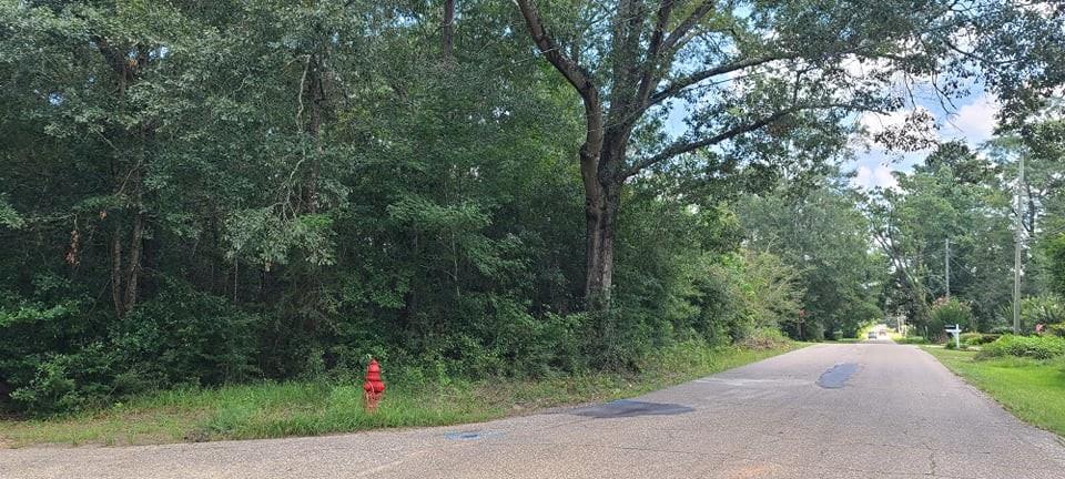 Avenue I, Bogalusa, Louisiana image 4