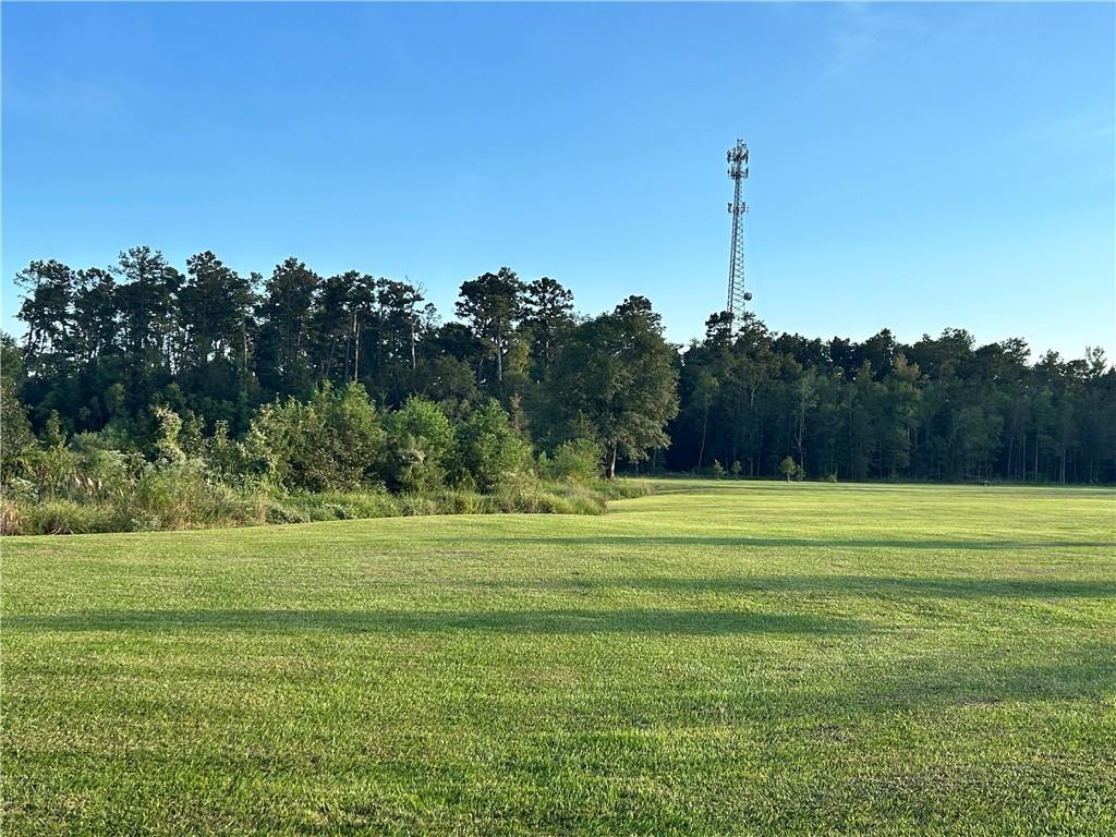 Prokop Road, Albany, Louisiana image 1