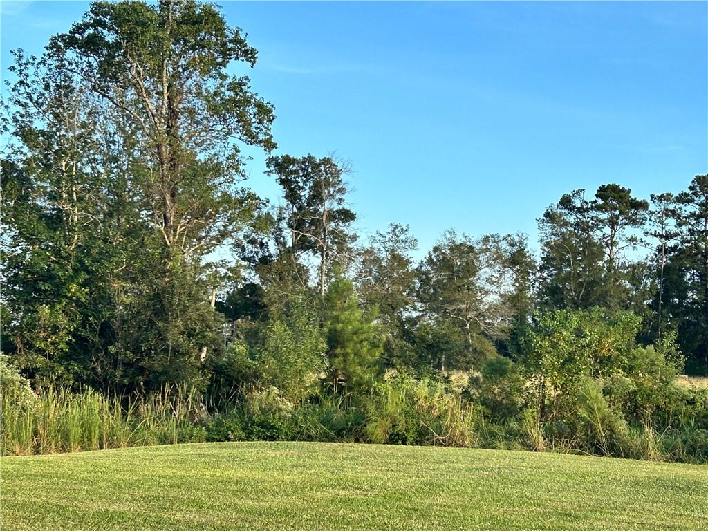 Prokop Road, Albany, Louisiana image 2