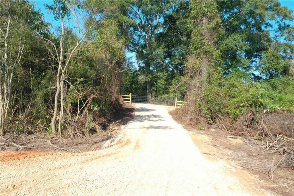 Emmitt Carter Road, Mount Hermon, Louisiana image 1