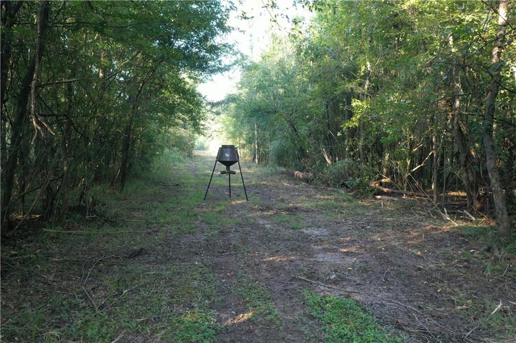 Emmitt Carter Road, Mount Hermon, Louisiana image 10