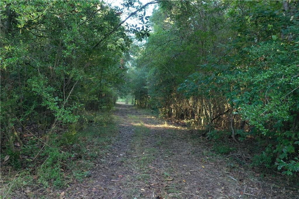 Emmitt Carter Road, Mount Hermon, Louisiana image 11