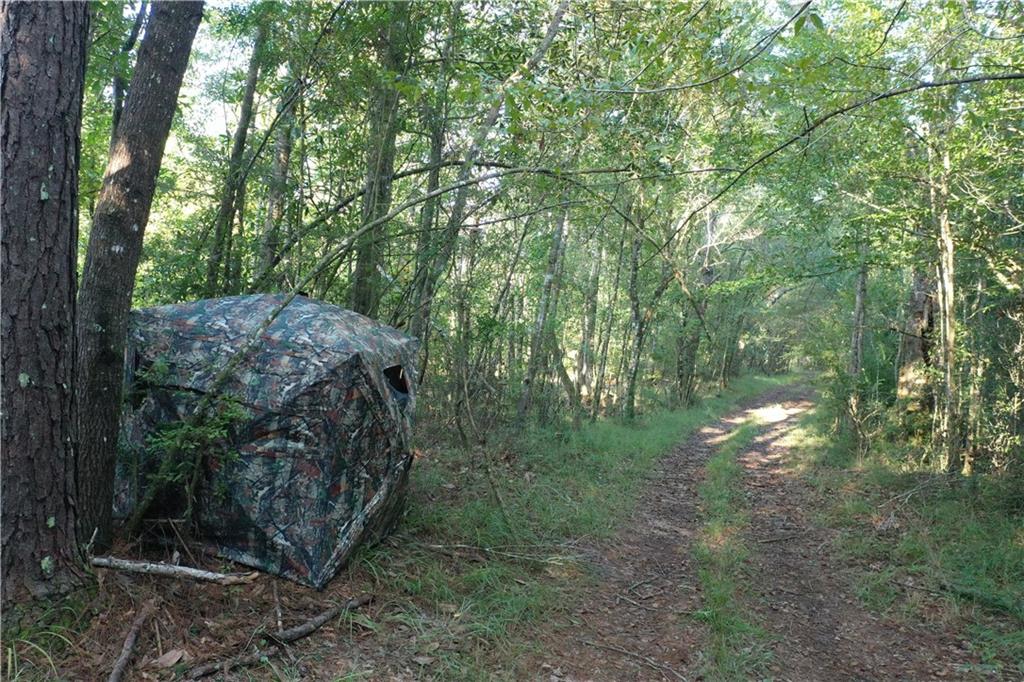 Emmitt Carter Road, Mount Hermon, Louisiana image 13