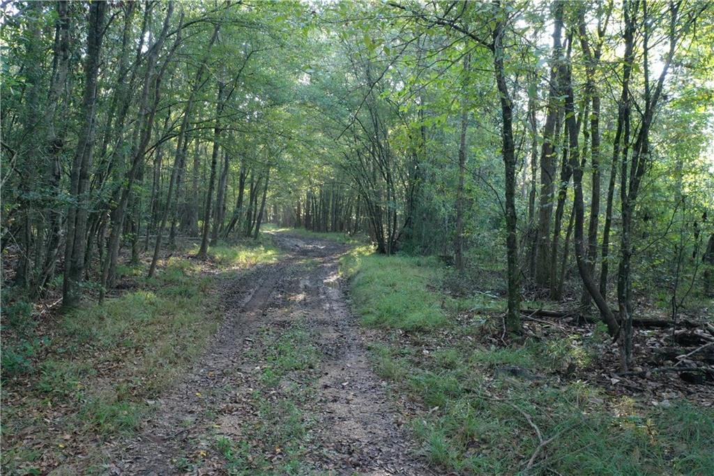 Emmitt Carter Road, Mount Hermon, Louisiana image 14