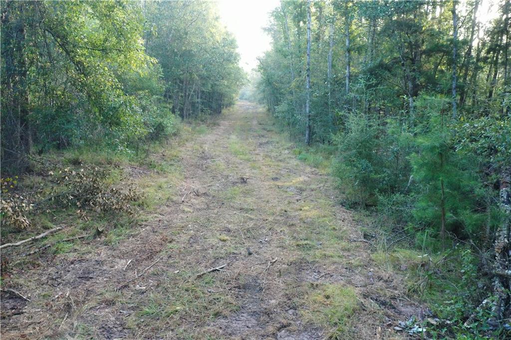 Emmitt Carter Road, Mount Hermon, Louisiana image 17