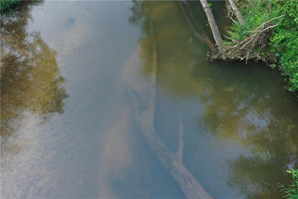 Emmitt Carter Road, Mount Hermon, Louisiana image 19