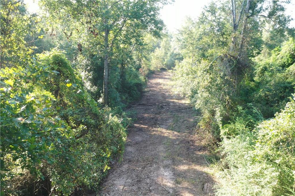 Emmitt Carter Road, Mount Hermon, Louisiana image 2