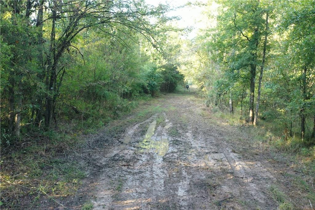 Emmitt Carter Road, Mount Hermon, Louisiana image 24