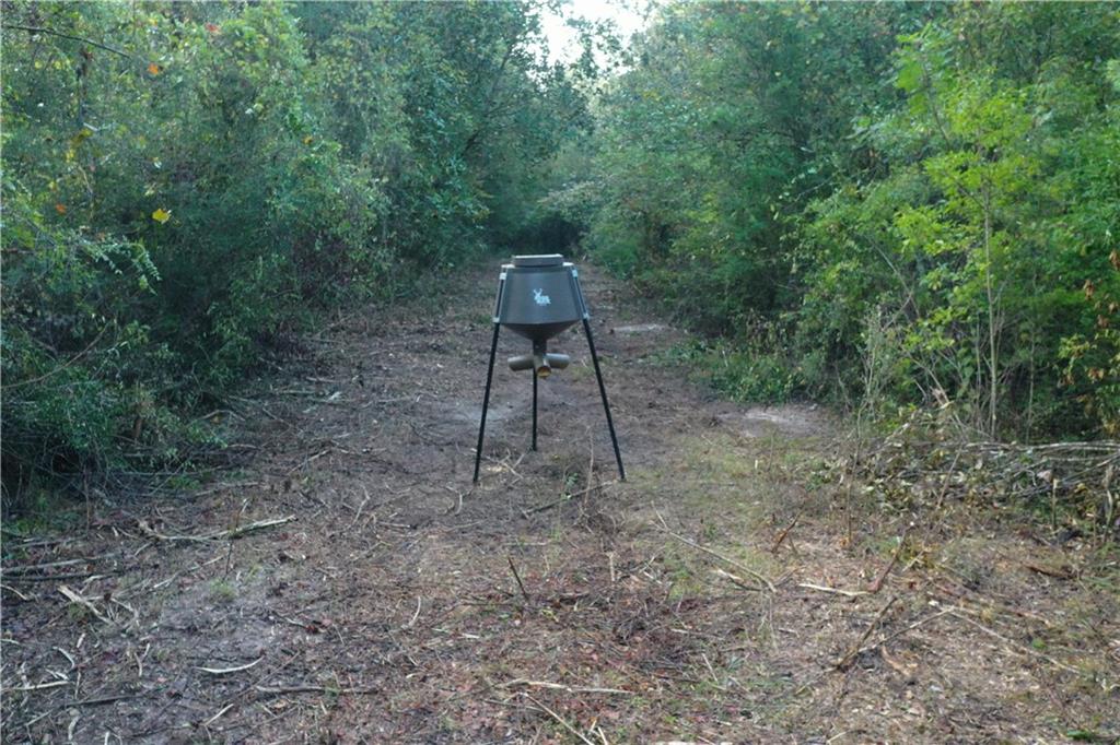 Emmitt Carter Road, Mount Hermon, Louisiana image 26