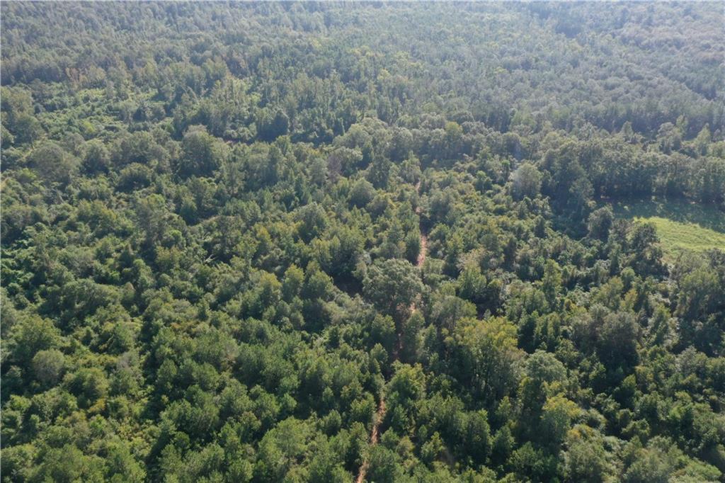 Emmitt Carter Road, Mount Hermon, Louisiana image 34