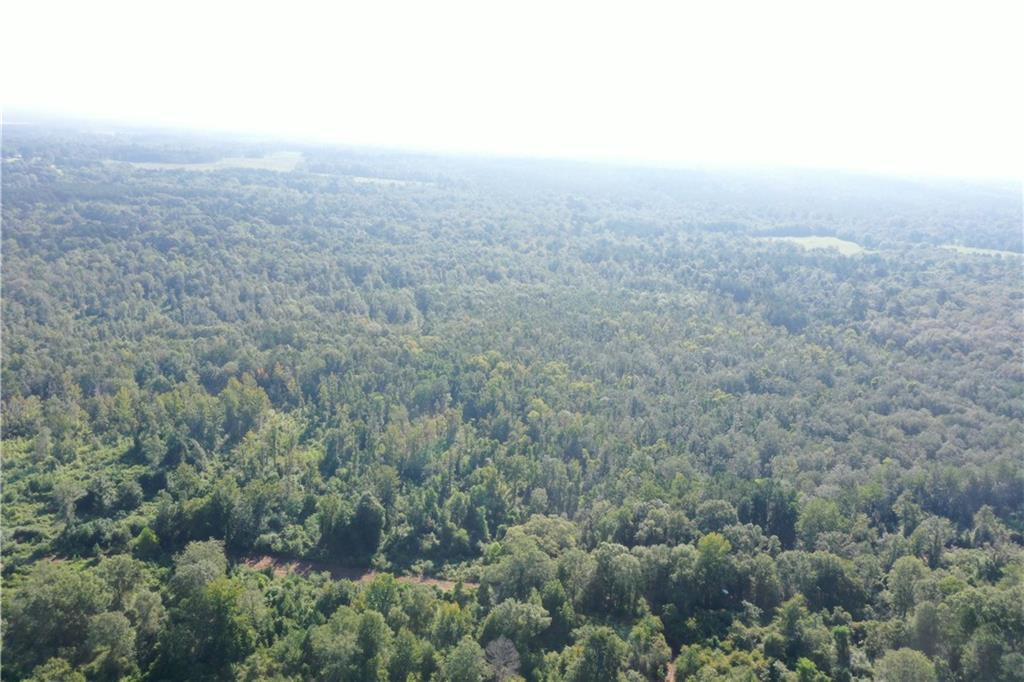 Emmitt Carter Road, Mount Hermon, Louisiana image 36