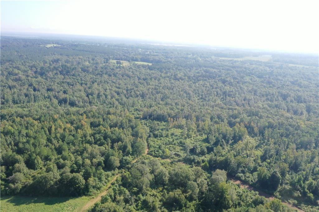 Emmitt Carter Road, Mount Hermon, Louisiana image 37