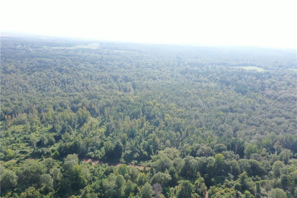 Emmitt Carter Road, Mount Hermon, Louisiana image 38