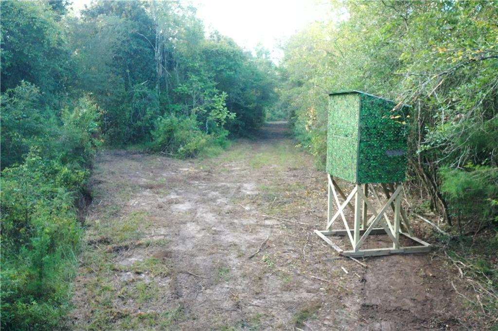 Emmitt Carter Road, Mount Hermon, Louisiana image 42