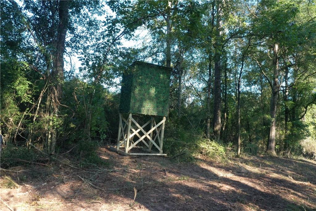 Emmitt Carter Road, Mount Hermon, Louisiana image 5