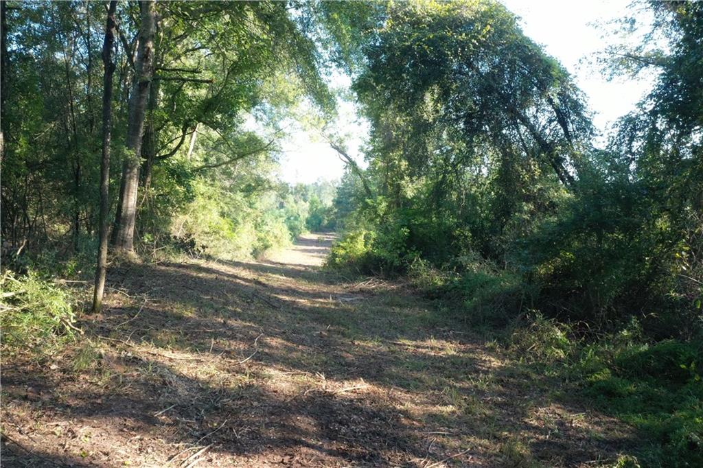 Emmitt Carter Road, Mount Hermon, Louisiana image 6