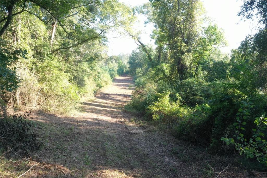 Emmitt Carter Road, Mount Hermon, Louisiana image 7