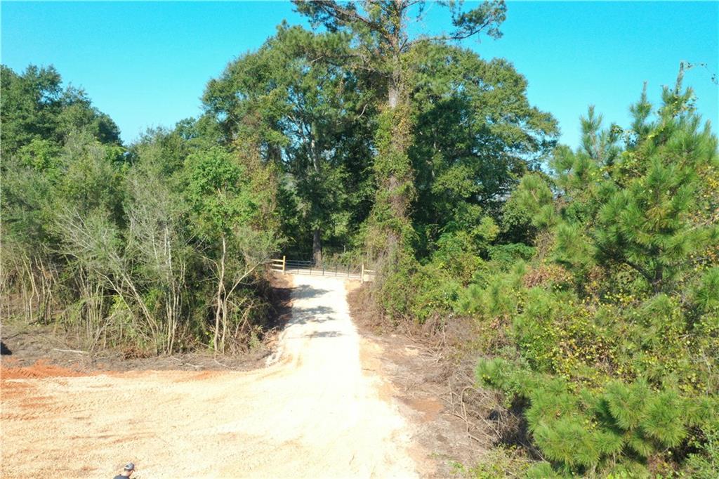 Emmitt Carter Road, Mount Hermon, Louisiana image 8