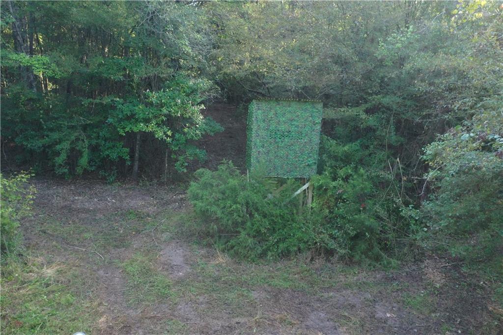 Emmitt Carter Road, Mount Hermon, Louisiana image 9