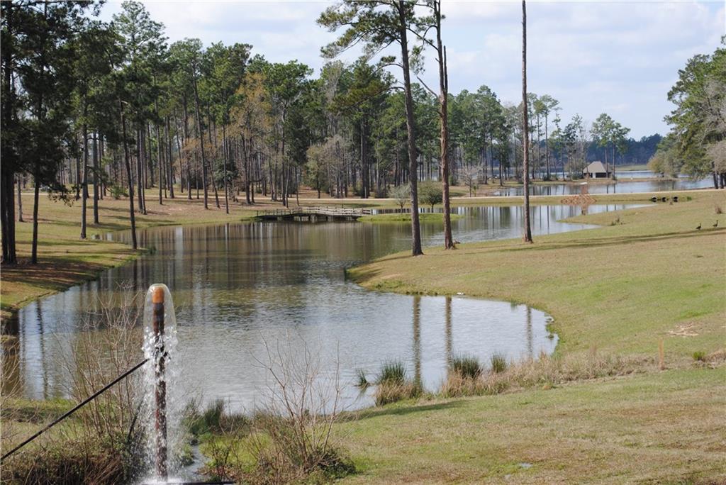 Lot 355 Steeplechase Drive, Abita Springs, Louisiana image 3