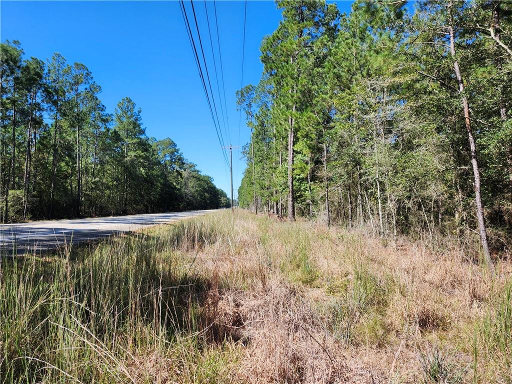 Hwy 21 Highway, Bush, Louisiana image 1