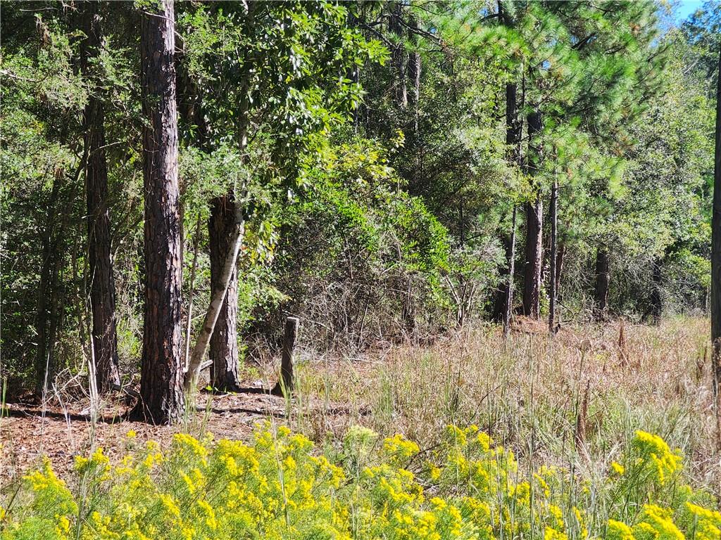 Hwy 21 Highway, Bush, Louisiana image 6