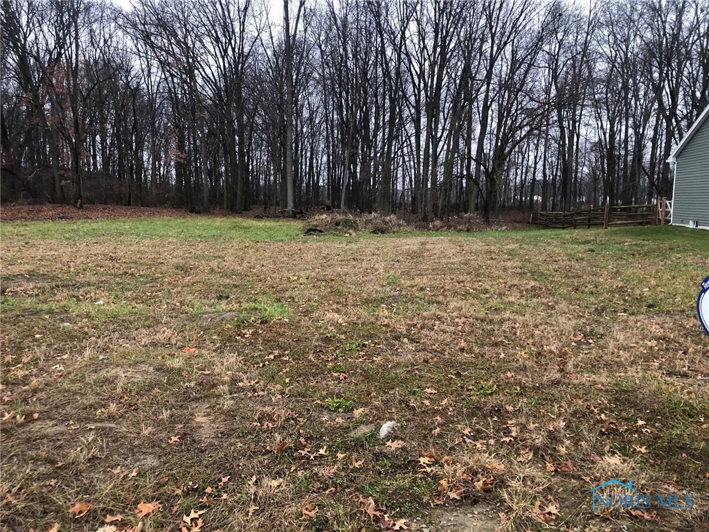 7018 Red Stag Court, Whitehouse, Ohio 43571, ,Land,Active,Red Stag,6081982