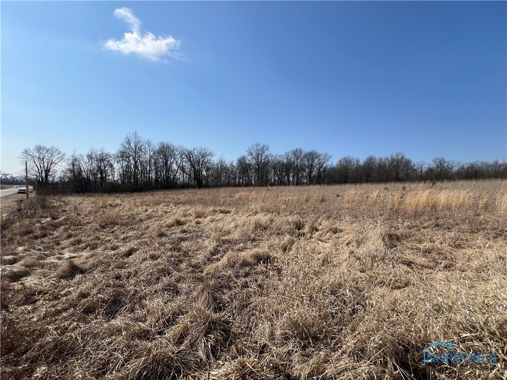 0 State Route 111, Defiance, Ohio 43512, ,Land,For Sale,0 State Route 111,6111226