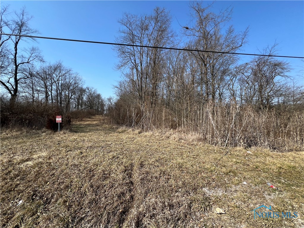 0 State Route 111, Defiance, Ohio 43512, ,Land,For Sale,0 State Route 111,6111226