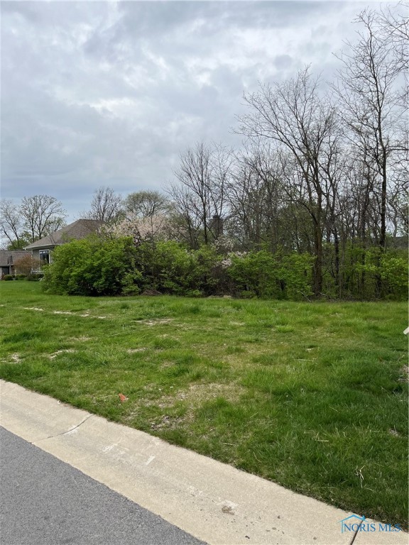 15672 River View Place, Perrysburg, Ohio 43551, ,Land,Active,River View,6114418