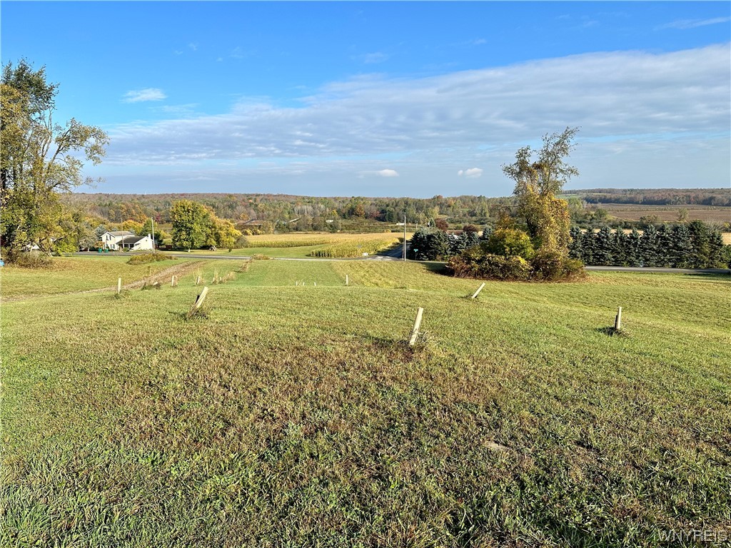 Did you say 99 acres?! Yes, I did! 80 acres of woods, 20 acres of field, mowed grass and a pond. Barn that sits closer to the road, a gazebo and garage up by the pond. Gas line run to the garage. Build your dream home here overlooking the beautiful hills! Great hunting land for deer and turkey. Letchworth School District.