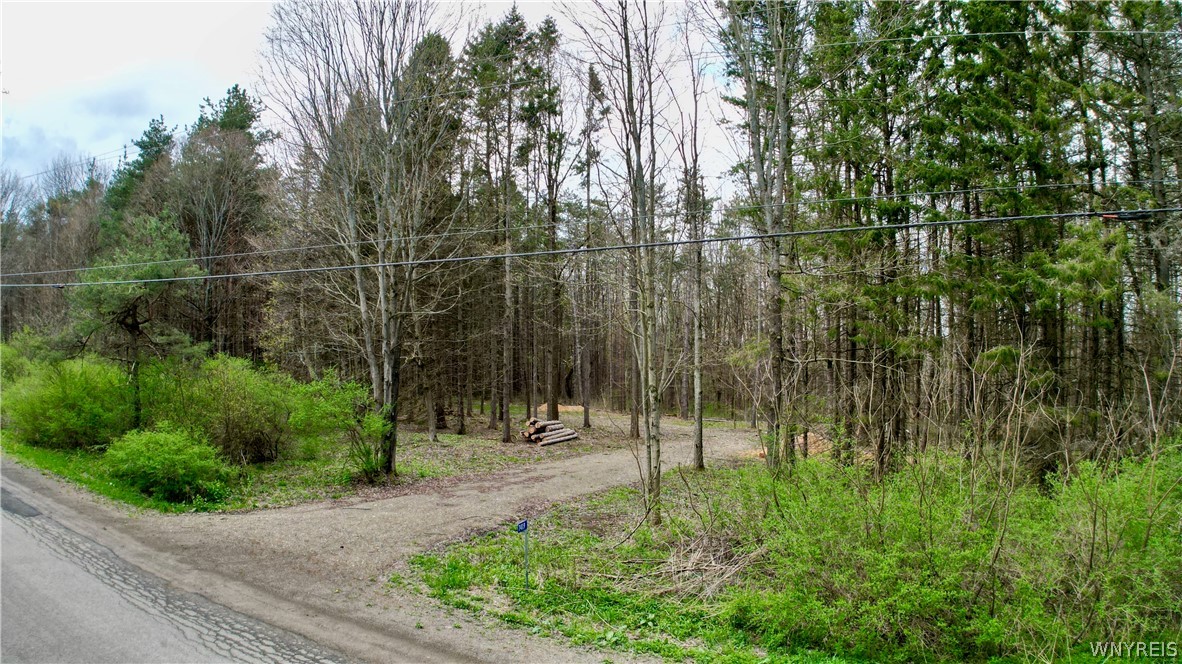 Build your own Ellicottville dream on this site-cleared lot tucked into the pines, just minutes from the village, or Route 219 north-south. The owner has roughed in the driveway, cleared and leveled the building site, and installed a county-approved 1500-gallon septic system for a 3-bedroom home. Enjoy the peaceful surroundings with a scenic wooded backdrop for whatever your perfect home or cabin looks like with all of the pleasures of the four-season region close at hand - restaurants, shops, skiing, golf, hiking, mountain biking - all the outdoor things! The owner will provide an existing survey less than one year old, and the lot is well-marked.