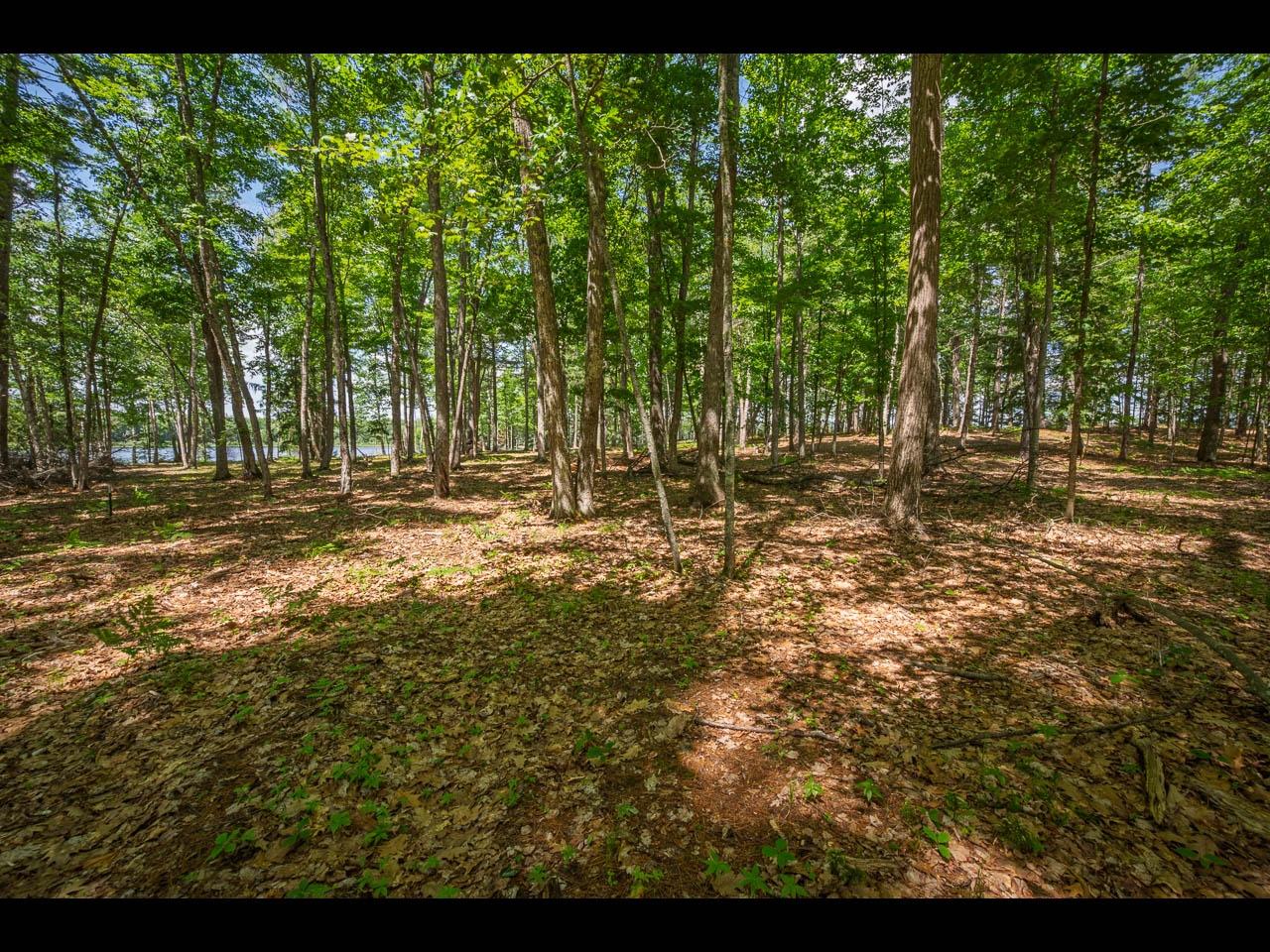 Clearwater Lake Property 157-159 Clearwater Lake Tr Photo 10