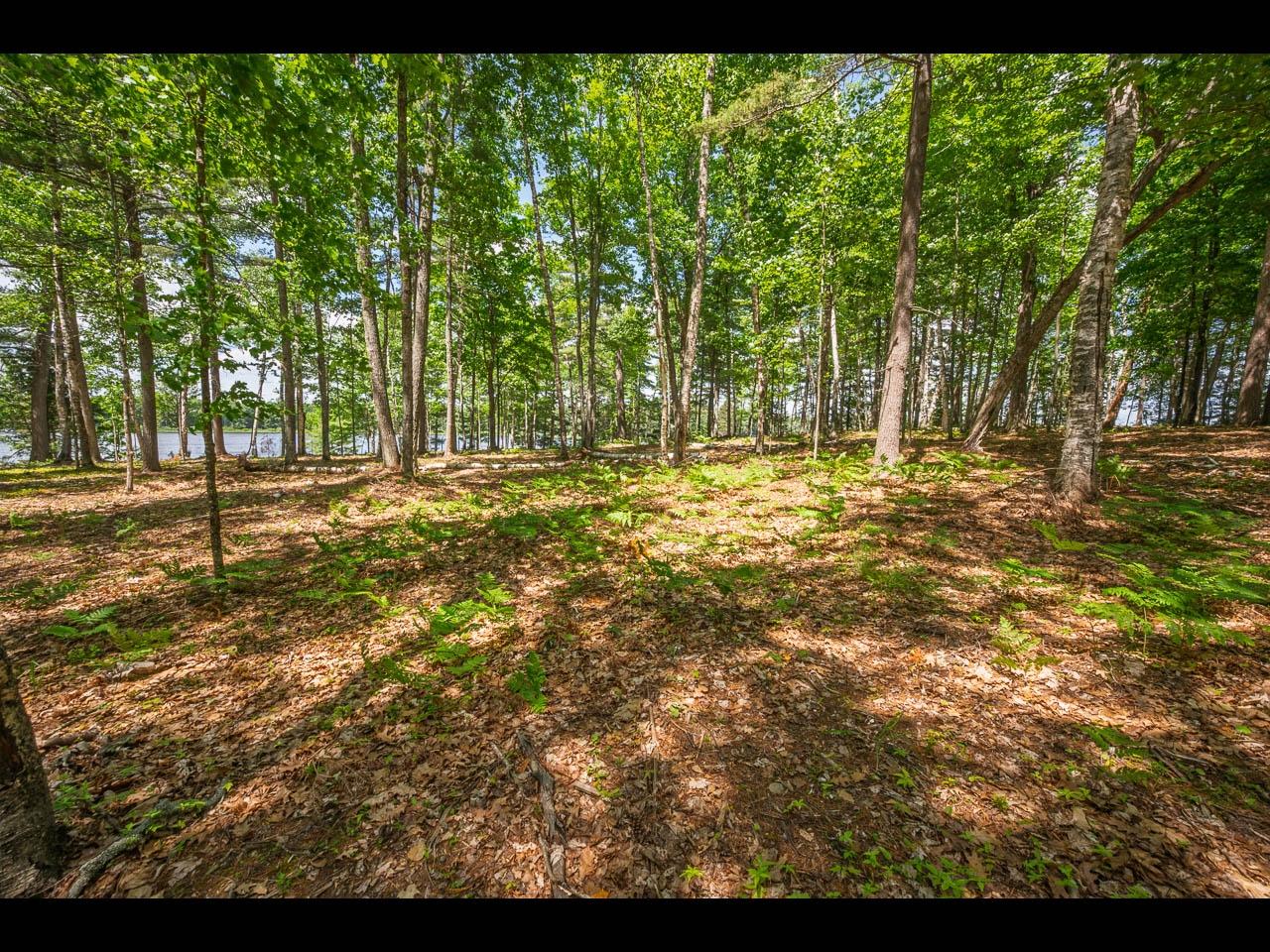 Clearwater Lake Property 157-159 Clearwater Lake Tr Photo 12