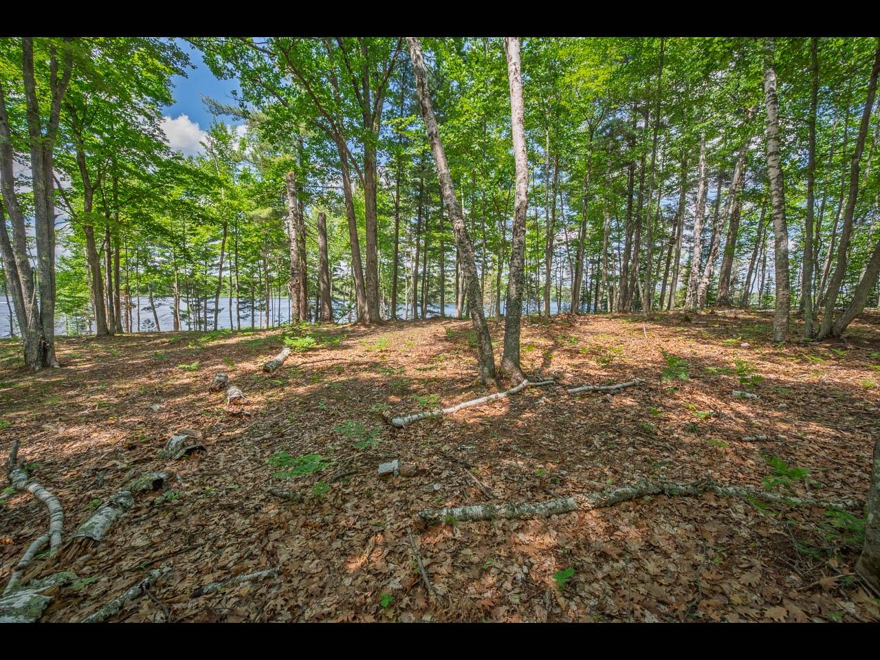 Clearwater Lake Property 157-159 Clearwater Lake Tr Photo 13