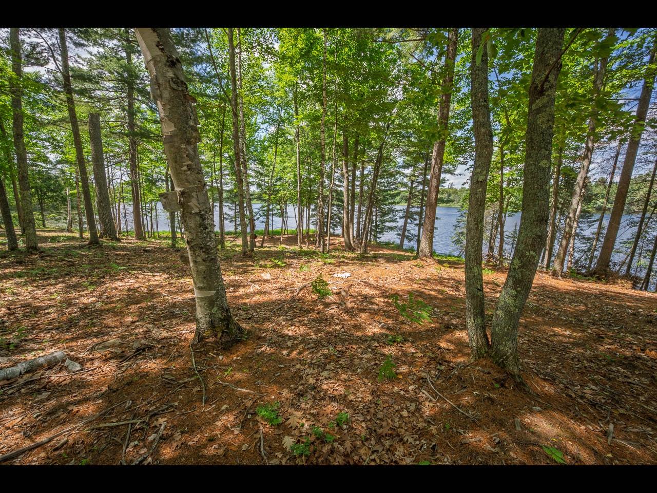 Clearwater Lake Property 157-159 Clearwater Lake Tr Photo 15