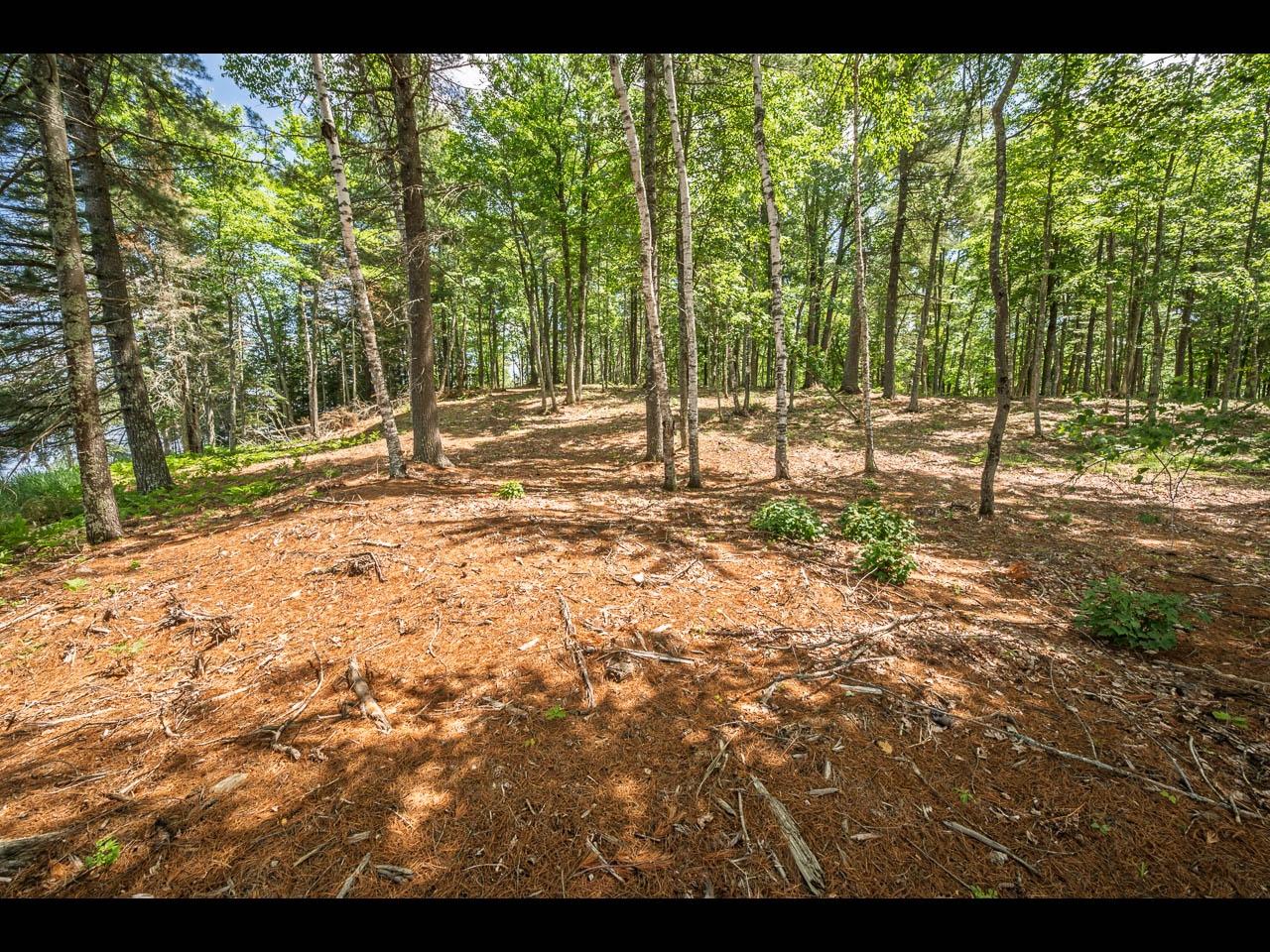 Clearwater Lake Property 157-159 Clearwater Lake Tr Photo 24