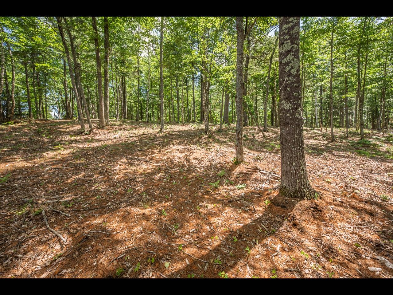 Clearwater Lake Property 157-159 Clearwater Lake Tr Photo 25