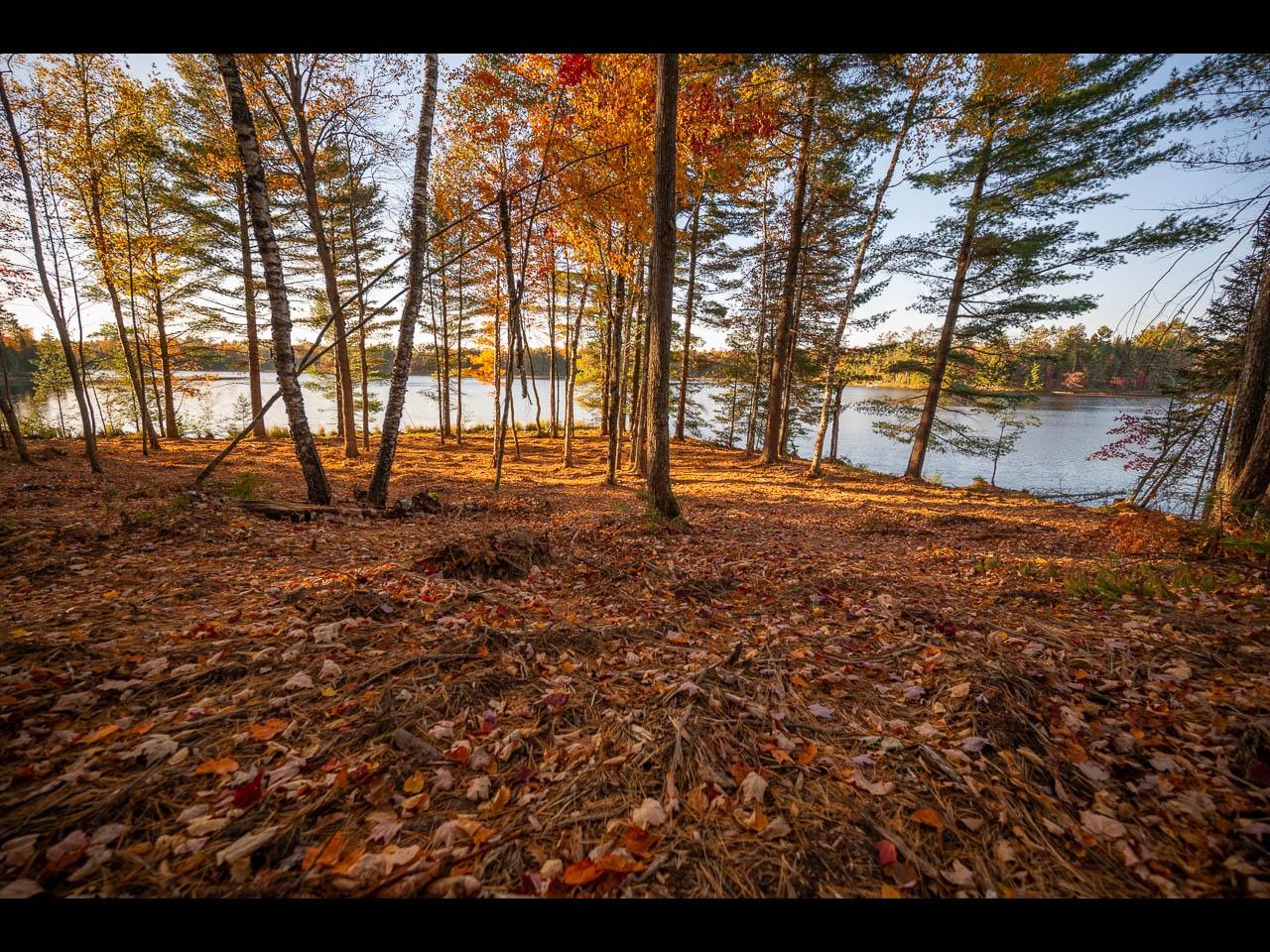 Clearwater Lake Property 157-159 Clearwater Lake Tr Photo 3