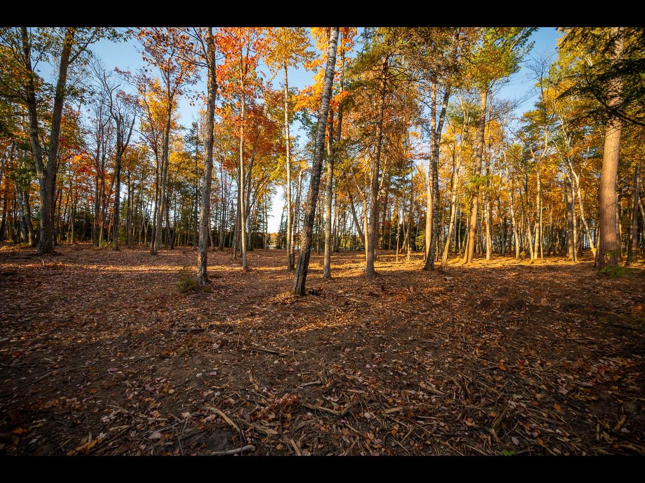 Clearwater Lake Property 157-159 Clearwater Lake Tr Photo 36