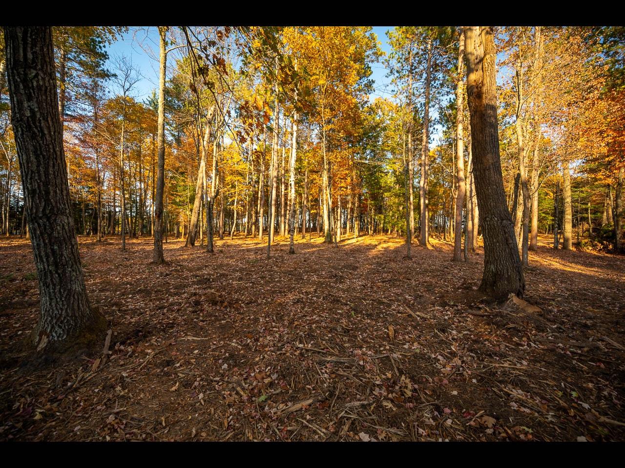 Clearwater Lake Property 157-159 Clearwater Lake Tr Photo 37